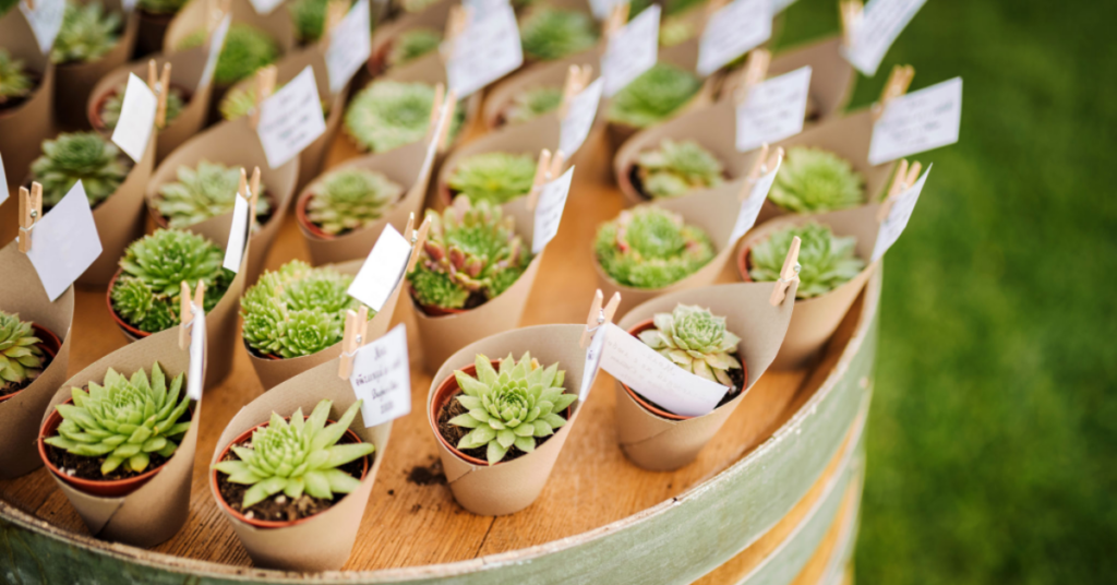 Wedding placecards with potted plants
